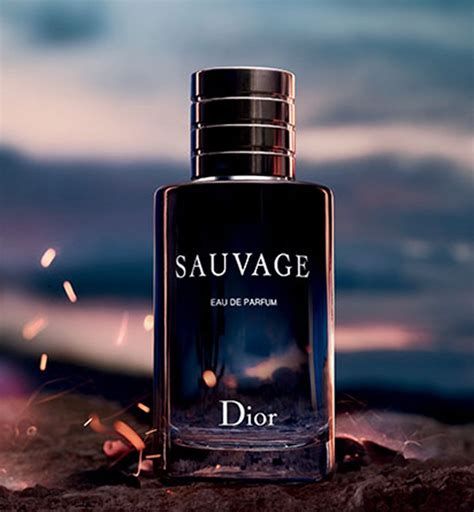 dior sauvage 100 ml eau de toilette - herenparfum|dior sauvage parfum 100ml price.